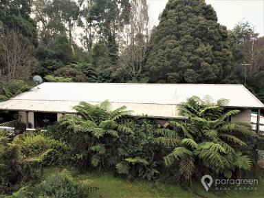 Farm Sold - VIC - Foster North - 3960 - PRIVATE GETAWAY  (Image 2)
