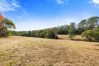 Farm Sold - NSW - Eungai Creek - 2441 - Country living, original farmhouse and 15 approved lots...  (Image 2)
