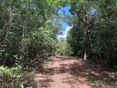 Farm Sold - QLD - Cooktown - 4895 - Riverside Vacant Land  (Image 2)