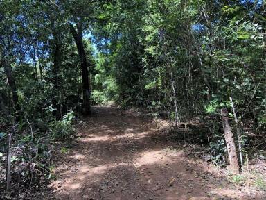 Farm Sold - QLD - Cooktown - 4895 - Riverside Vacant Land  (Image 2)