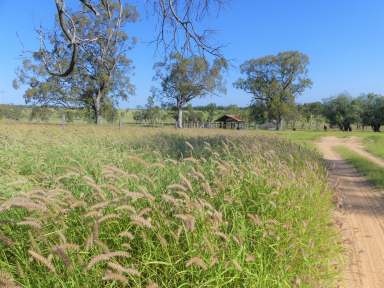 Farm For Sale - QLD - Injune - 4454 - Great Property - Great Location -  Great Region -  (Image 2)