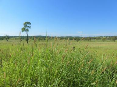 Farm For Sale - QLD - Injune - 4454 - Excellent Location - Easy to Manage - Substantial Off Farm Income Available  (Image 2)