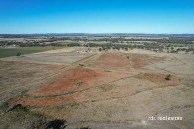 Farm Sold - NSW - Inverell - 2360 - GLENCAIRNE  (Image 2)