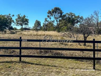 Farm Sold - NSW - Inverell - 2360 - GLENCAIRNE  (Image 2)