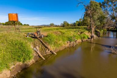 Farm For Sale - NSW - Canowindra - 2804 - IRRIGATION & SELF WATERING RIVER FLATS + 562ML IRRIGATION ENTITLEMENT  (Image 2)