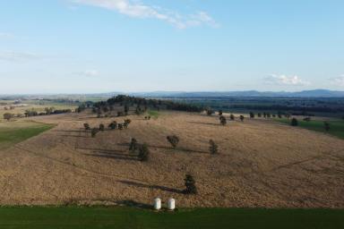 Farm For Sale - NSW - Canowindra - 2804 - 328 ACRES RIVERFRONT COUNTRY + BUILDING ENTITLEMENT  (Image 2)