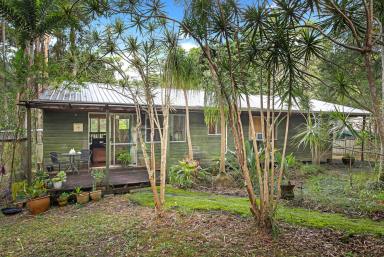 Farm Sold - QLD - Lake Macdonald - 4563 - Private Gem With Renovation Potential  (Image 2)