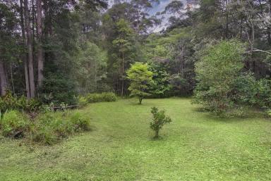 Farm Sold - QLD - Lake Macdonald - 4563 - Private Gem With Renovation Potential  (Image 2)