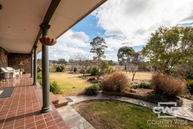 Farm For Sale - NSW - Glen Innes - 2370 - A Tranquil Retreat Close to Glen Innes  (Image 2)