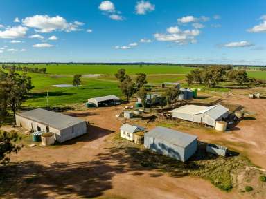 Farm For Sale - NSW - West Wyalong - 2671 - "GRASSMERE" 1969 ACRES (797HA) MIXED FARMING.  (Image 2)