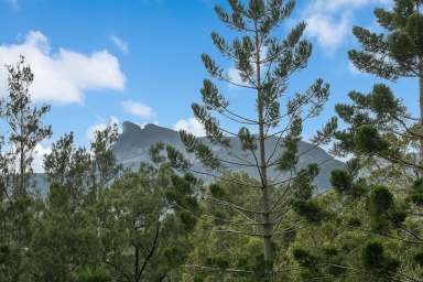 Farm Sold - NSW - Pumpenbil - 2484 - NATURES HIDDEN HAVEN  (Image 2)