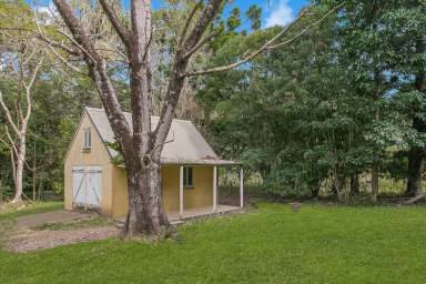 Farm Sold - NSW - Pumpenbil - 2484 - NATURES HIDDEN HAVEN  (Image 2)