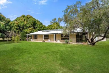 Farm Sold - QLD - Hervey Range - 4817 - Peace & Quiet | So Close to Town  (Image 2)