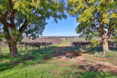 Farm For Sale - VIC - Yelta  - 3505 - "30 Acres to Develope or Lifestyle" (2 Titles)   (Image 2)