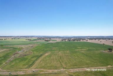 Farm Sold - NSW - Inverell - 2360 - STUNNING VISTAS & THE COUNTRY DREAM  (Image 2)