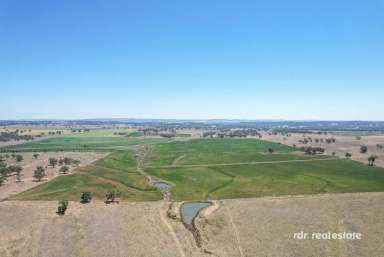 Farm Sold - NSW - Inverell - 2360 - STUNNING VISTAS & THE COUNTRY DREAM  (Image 2)