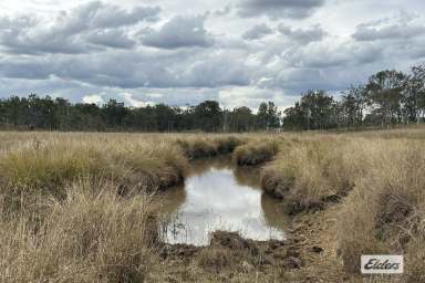 Farm Sold - QLD - Mount Mort - 4340 - Rare vacant land at Mount Mort
UNDER CONTRACT  (Image 2)