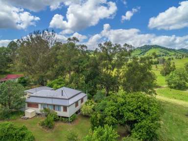 Farm Sold - QLD - Calico Creek - 4570 - QUALITY MARY VALLEY PROPERTY  (Image 2)