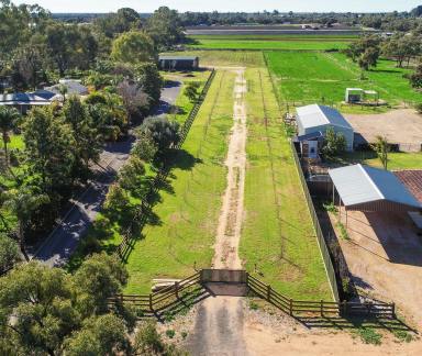 Farm Sold - NSW - Buronga - 2739 - SPECTACULAR LIFESTYLE BLOCK WITH ENDLESS POSSIBILITIES  (Image 2)