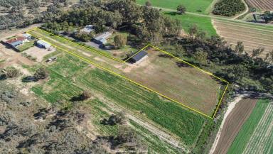 Farm Sold - NSW - Buronga - 2739 - SPECTACULAR LIFESTYLE BLOCK WITH ENDLESS POSSIBILITIES  (Image 2)