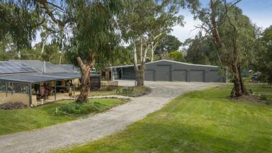 Farm Sold - VIC - Bittern - 3918 - Family Haven On 1.4 Acres With New Tradie’s Shed  (Image 2)