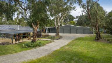 Farm Sold - VIC - Bittern - 3918 - Family Haven On 1.4 Acres With New Tradie’s Shed  (Image 2)