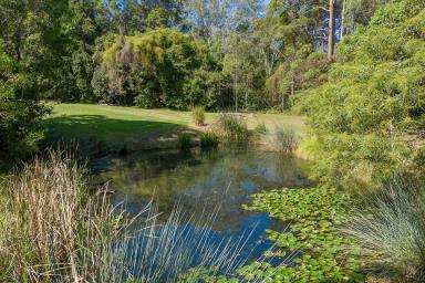 Farm Sold - QLD - Verrierdale - 4562 - Sustainable Living and Abundant Possibilities  (Image 2)