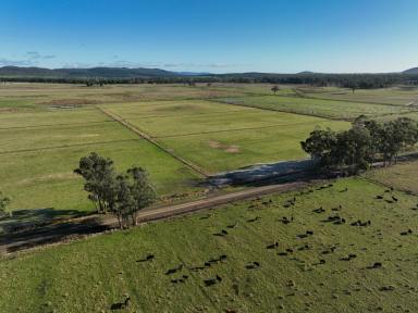 Farm For Sale - TAS - Parkham - 7304 - 190.31 hectare agricultural holding in the thriving Meander Valley  (Image 2)