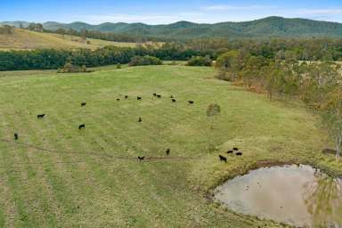 Farm Sold - NSW - Bulahdelah - 2423 - PRIME RIVER FRONTAGE X DAIRY FARM  (Image 2)