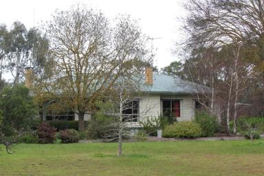 Farm Sold - VIC - Cavendish - 3314 - Cutting Edge in Profitability & Productivity - PROPERTY UNDER OFFER  (Image 2)