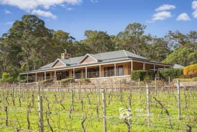 Farm Sold - WA - Margaret River - 6285 - BREATHTAKING SUNSETS OVER YOUR PRIVATE VINEYARD  (Image 2)