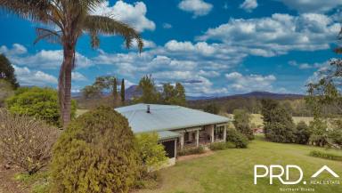 Farm Sold - NSW - Woodenbong - 2476 - Perfect Country Living With Stunning Views!  (Image 2)