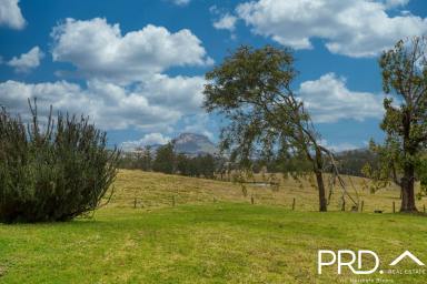 Farm Sold - NSW - Woodenbong - 2476 - Perfect Country Living With Stunning Views!  (Image 2)