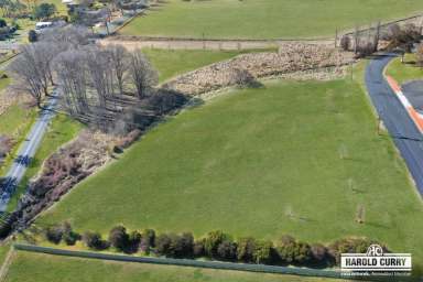 Farm For Sale - NSW - Tenterfield - 2372 - Options.....  (Image 2)