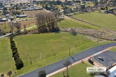 Farm For Sale - NSW - Tenterfield - 2372 - Options.....  (Image 2)