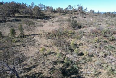 Farm Sold - NSW - Carcalgong - 2850 - 10 acre blocks!  (Image 2)