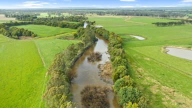 Farm Sold - VIC - Glengarry - 3854 - 220 Acre Dairy Farm with Latrobe River Frontage  (Image 2)
