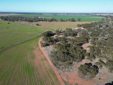 Farm For Sale - NSW - West Wyalong - 2671 - Great Parcel Of Land Located On The Outskirts Of Town  (Image 2)