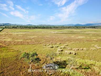 Farm For Sale - QLD - Mareeba - 4880 - 101.6 HA UNDER HAY PRODUCTION  (Image 2)