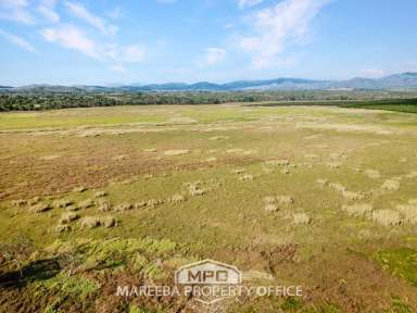 Farm For Sale - QLD - Mareeba - 4880 - 101.6 HA UNDER HAY PRODUCTION  (Image 2)