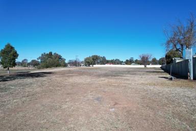 Farm For Sale - NSW - Merriwa - 2329 - Beautiful Large Residential Land!  (Image 2)