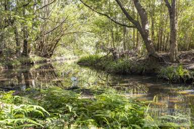 Farm Sold - NSW - Bellingen - 2454 - Create your vision with this Rural Gem  (Image 2)