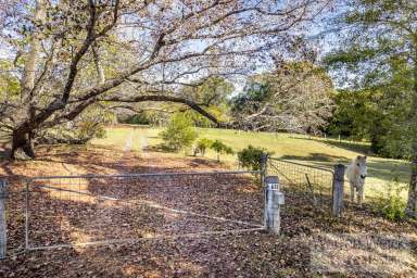 Farm Sold - NSW - Bellingen - 2454 - Create your vision with this Rural Gem  (Image 2)