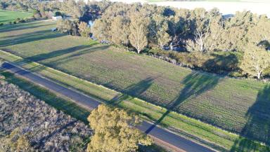 Farm For Sale - NSW - Narromine - 2821 - Irrigation Potential - Buy Part or All....  (Image 2)