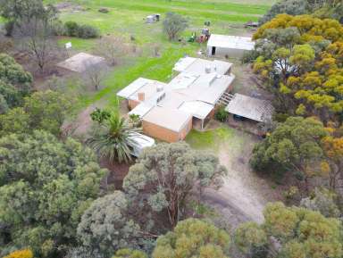 Farm Sold - VIC - Swan Hill - 3585 - Laird of the manor  (Image 2)