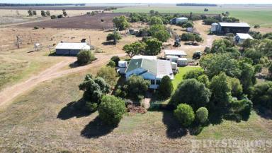Farm Sold - QLD - Dalby - 4405 - SELDOM DO YOU SEE A PRIME AGRICULTURAL KUPUNN PROPERTY REACH THE OPEN MARKET  (Image 2)