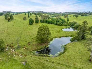 Farm Sold - QLD - Veteran - 4570 - 40 ACRES 2 HOMES  (Image 2)