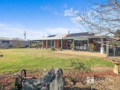Farm Sold - VIC - Shelbourne - 3515 - Immaculately Presented Scenic Lifestyle Property on 30 Acres  (Image 2)
