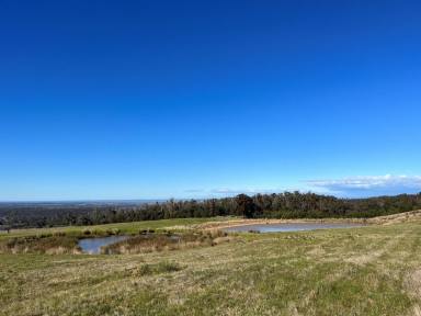 Farm For Sale - VIC - Seaton - 3858 - Home Away From Home With Panoramic Views  (Image 2)