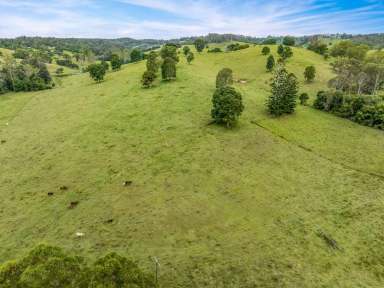 Farm For Sale - QLD - Veteran - 4570 - IMPRESSIVE VETERAN ACREAGE  (Image 2)